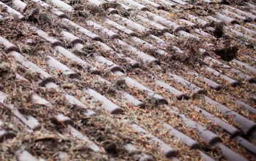 Lower Halstow roof cleaning companies